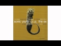 Sonic Youth + I.C.P. + The Ex - IX - In The Fishtank 9