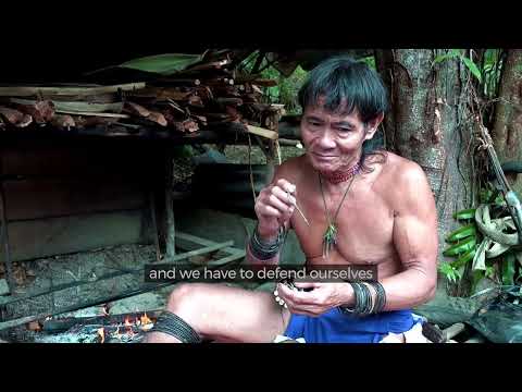 Borneo Death Blow   full documentary mp4