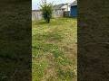 So Much Death Yardwork Smarternotharder Midwest