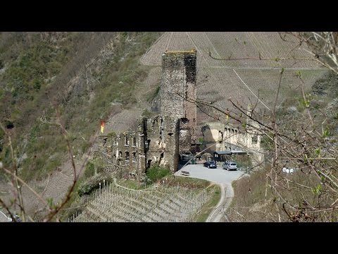 Der Moselsteig: 17. Etappe, Ediger Eller - Beilstein