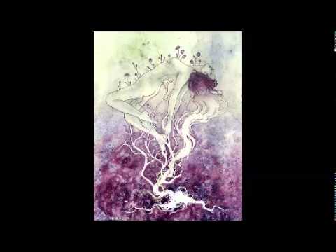 Werter - set -  HIgh transmission |HItech| 165-190+ bpm