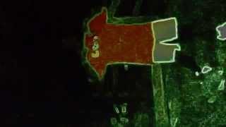 Tony Montana Remix By MicrowaveMoney