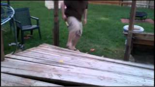 Deck_Demolition_opt.mov