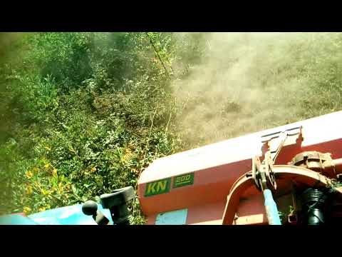 Curatat pasune 2017 Motiş Jud Salaj