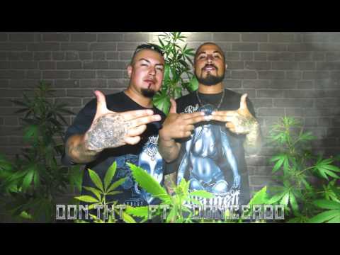 Vamos todos a fumar - Don Tkt Asek ft Don Cerdo Hemafia 2016