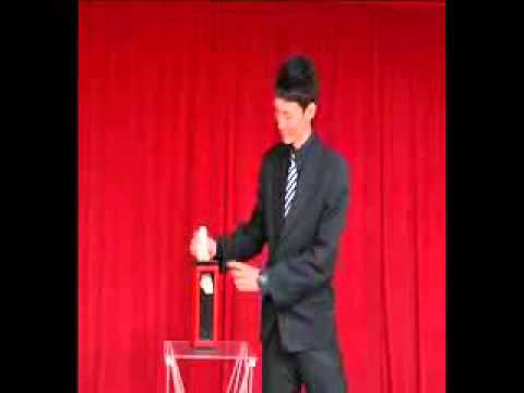 T1055 - Auto Dove to Silk Tora Magic Trick www.merlinswakefield.com