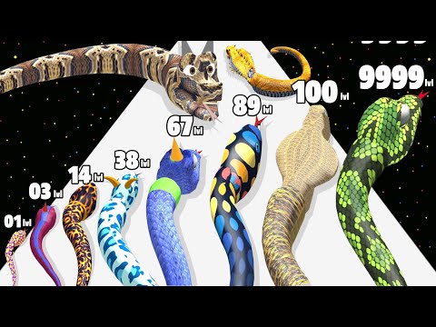 Merge Snake Evolve 3D - Level Up Snake Max Level Gameplay (Snake Evolution Run 3D)