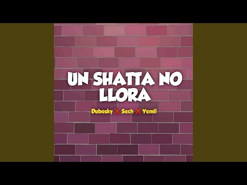Un Shatta No Llora