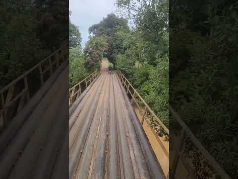 puente de tubo en finca mandinga jurisdicción de Cáceres antioquia #shorts #ríoman