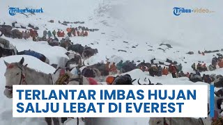 200 Pendaki Dikabarkan Masih Terlantar akibat Hujan Salju Lebat di Gunung Everest: Kondisi Ekstrem