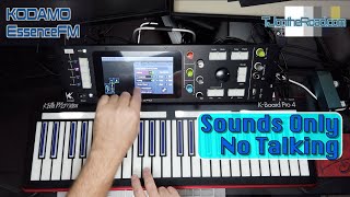 Video thumbnail for Kodamo EssenceFM No Talking Sounds Only by TJontheRoad