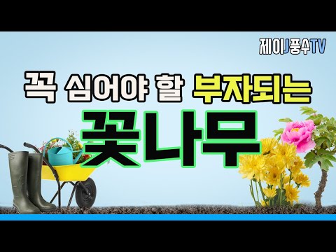 , title : '[풍수지리]우리 집 정원에 꼭 심어야 할 부자되는 꽃나무'