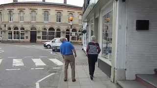 Bird clears moss out of gutter Horncastle Lincolnshire England UK
