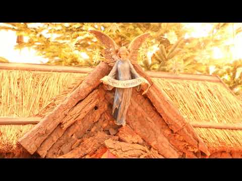 Weihnachtslieder zum Mitsingen: Stern über Betlehem (GL 261)