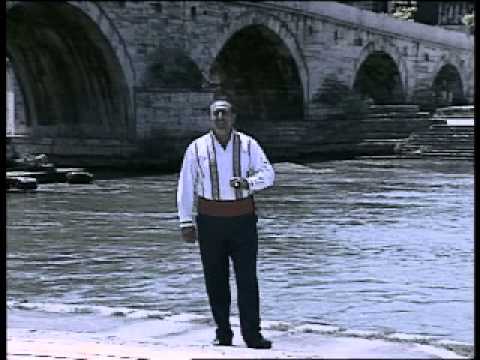 Zlate Antevski Se sobrale svatovite