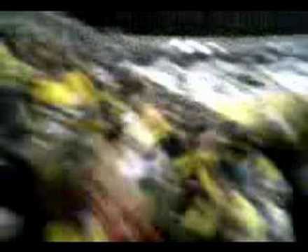 Criciúma 2 x 1 Marília - Os Tigres