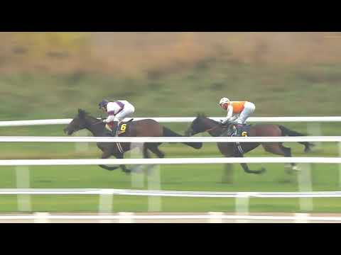 2019.10.20 Stockholm Fillies & Mares Stakes (SWE) - High As A Kite