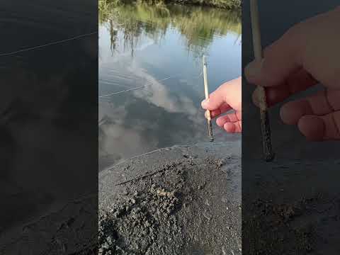 DIY fishing rod made from chopsticks… and it worked #amazing #fishing