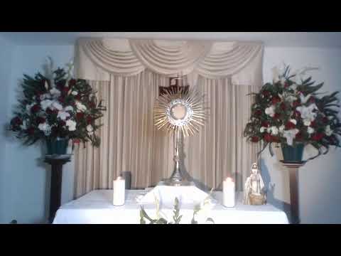 la Guadalupe: el milagro y el mensaje