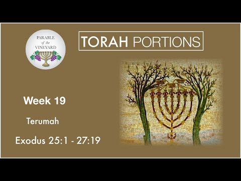 Torah Portions - Week 19 - Terumah l תְּרוּמָה l “Gifts” - Exodus 25:1 - 27:19