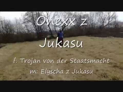 Onexx z Jukasu - obedience 11 months