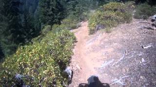 Watch This #1. Plumas Eureka State Park. Dirtbiking
