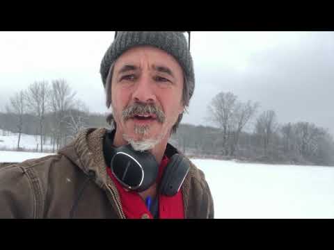 Gun shy Dog Vs  Not Gun shy Dog