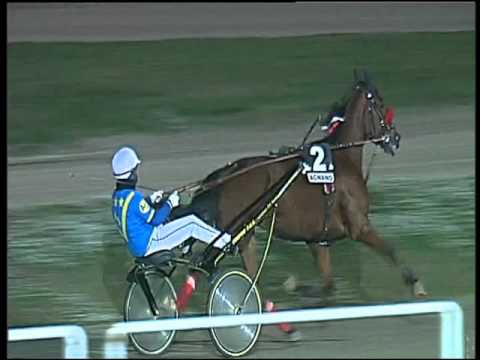 Trotto 29/11/2015 - 6° corsa