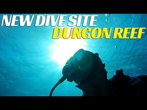 Scuba Diving New Dive Site - Durgon Reef - Ep 34