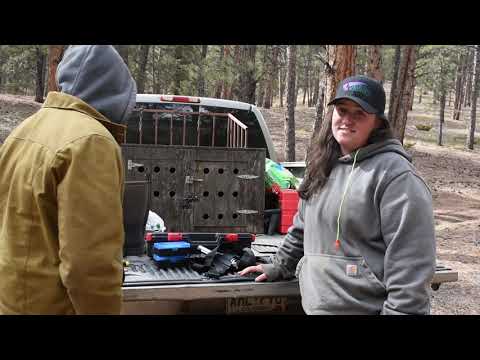 Making Sure We're Ready To Meet An Alaskan Grizzly Bear | Moving To Alaska, Episode 4