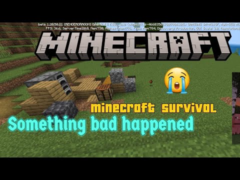 EPIC DIAMOND FIND in Minecraft - then disaster struck!