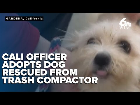 Meet Norm! California police officer adopts dog rescued from self-compacting trash can