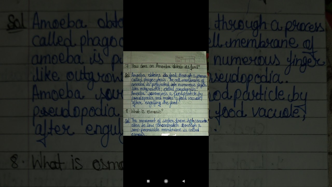 class 9 science ch 5 Exercise question answer