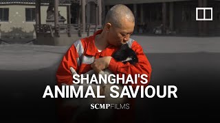 Shanghai’s animal saviour: helping strays in China is spiritual journey for Buddhist monk