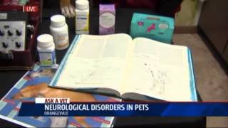 Neurological Disorders in Pets- Ask a Vet with Dr. Jyl