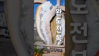완도 전복 맛집 투어 Best 4