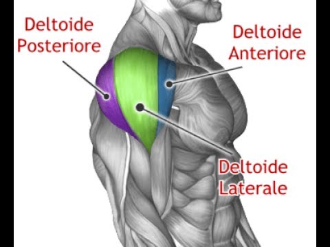 Infiammazione delle articolazioni mani sintomi e trattamento Quanto tempo osteocondrosi collo
