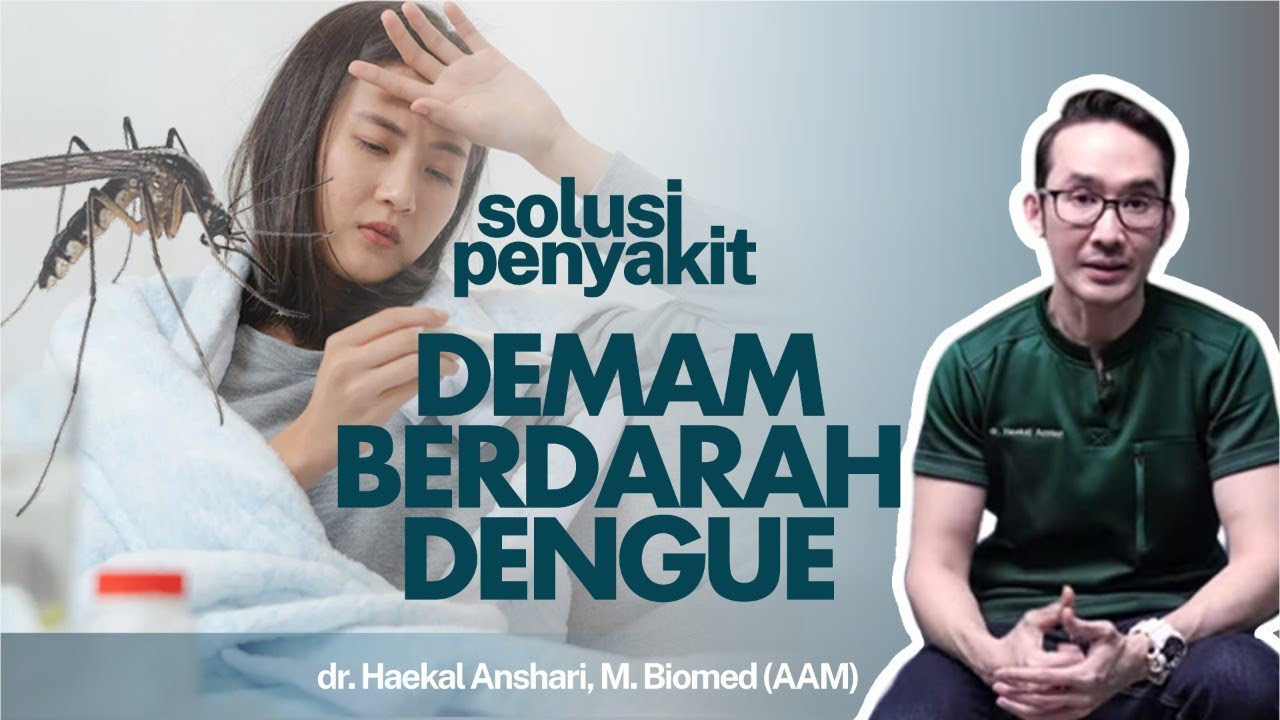 Waspada Demam Berdarah Dengue, Ini Gejala dan Pengobatannya | Kata Dokter