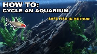Cycling an Aquarium… with Live Fish