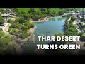 The Thar Desert Is Greener Than Ever But At What Cost