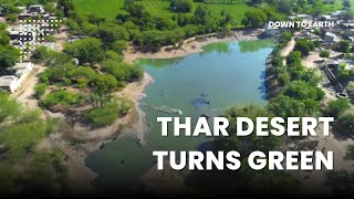 The Thar Desert is Greener than Ever - But at What Cost?