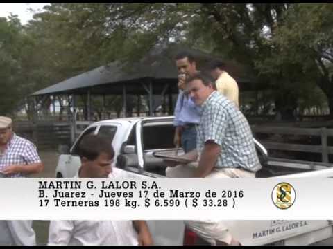 17-03-16 Venta de Hembras - Martin G. Lalor S.A. - B. Juarez.
