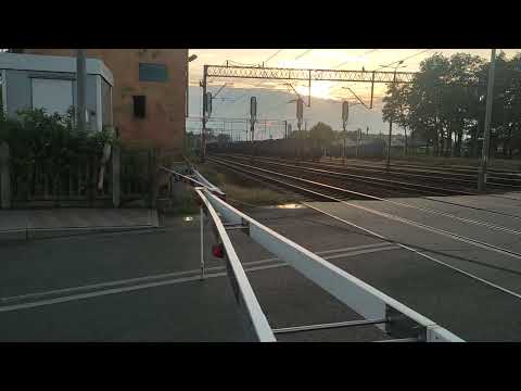 guben -zieloana góra szynobus