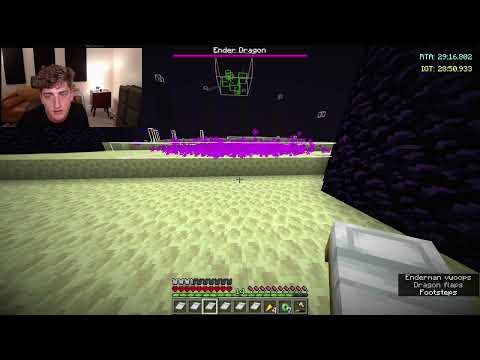 I DIDN'T SPEED RUN MINECRAFT