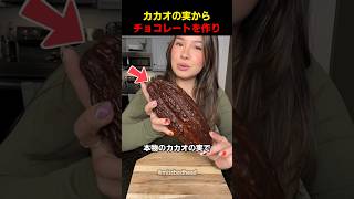 カカオの実からチョコレートを作り