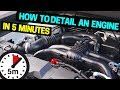 Clean & Detail Your Car Engine in 5 Minutes!