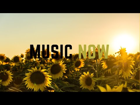 Lights - Sappheiros | Progressive House [No Copyright Music]