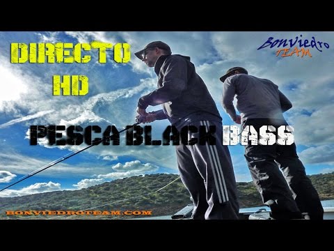 PESCA de BLACK BASS HD en DIRECTO desde embarcación #2 | LARGEMOUTH BASS FISHING