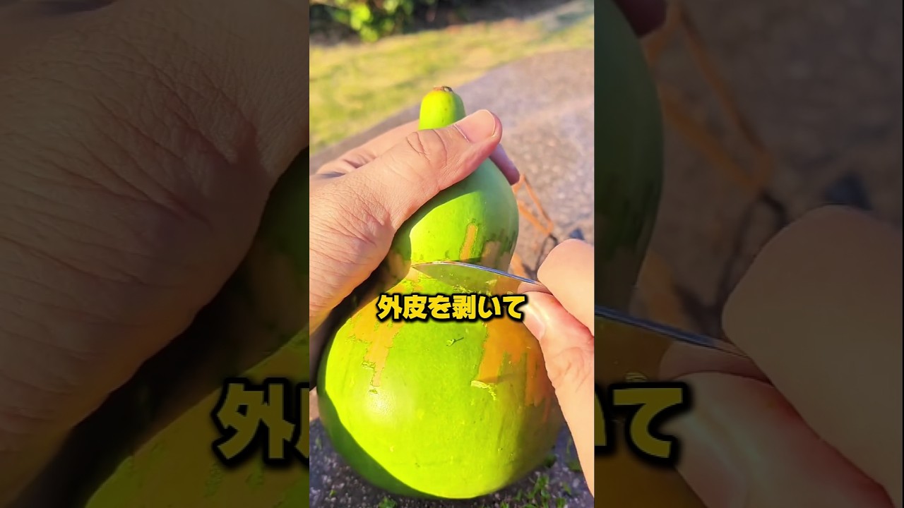 昔の人が使っていた植物の正体