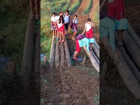 la cominudad informa lo que viven estudiante por mal estado de las via en canalete cordoba #viral